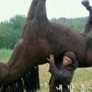 캔디투어