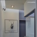 동탄 스케치 동물병원 네이버블로그