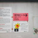 플로리스트(오전) | 일본 도쿄여행 가볼만한곳 오타꽃시장 플로리스트 견학 코스