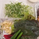 포천 럭스제이 애견펜션 이미지