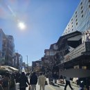 도시인 | 오다와라 :: 도쿄 근교 소도시 여행 추천, 오다와라 여행 후기! (미유키해변/ 오다와라성)