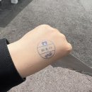 귀빈꽃앵글 | 청와대 무료개방 관람 후기 + 예약방법 및 평일 경복궁 주차