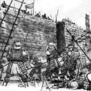 나라(214) 이미지