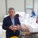 용성농업협동조합