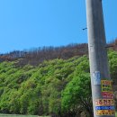 산불 피해 지역 의성군 안평면 신평면 둘러 보고 오다 2025년 4월 26일 이미지