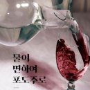 G4724 네이버블로그