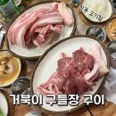 거북이구들장구이
