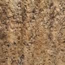 신두리농장 이미지