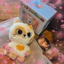 이야옹 | 무해하게 아름다운 세상 앞에서 때때로 무례하게 다정하기