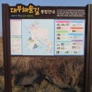 대부해솔길 7-1코스 이미지