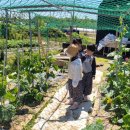 월곶자연어린이집 이미지