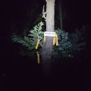 협성대학교 이미지