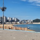 감천재래시장 티스토리