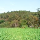 화원태양광발전소 이미지