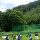 강촌테마랜드 이미지