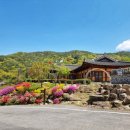 지리산정원 유아숲체험원 이미지
