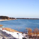 보령머드솔향 이미지