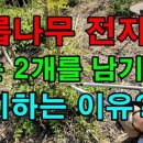 새순2농장 이미지