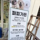 유니멍 강아지미용실 네이버블로그