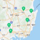 포은로 은행나무길 이미지