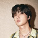 니브 카카오 검색결과