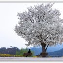 가야진사 이미지