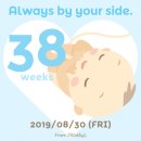 우유일기 네이버블로그
