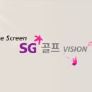 더 스크린 SG 골프 이미지