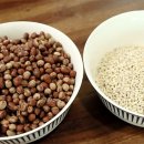 콩보리네 이미지