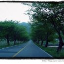 비잔틴모텔 이미지