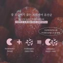 이너피움 피부케어 유산균, 피부 트러블이 덜해지는 신바이오틱스