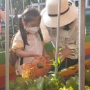 삼일초등학교병설유치원 이미지