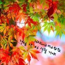 좋은세상 이미지