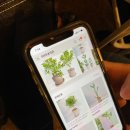 가영제화 | 온라인구매로도 안전하게 나에게온 반려식물🌿 미리내가든