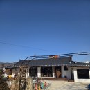 알로하 청송 이미지