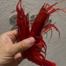 황산농장 | 2025 요수정 총 결산