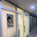비룸스킨