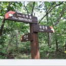 포항상생숲길 이미지