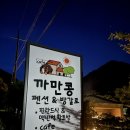 휴가펜션(레드콩) | 횡성가볼만한곳 신대계곡펜션 프라이빗하고 별이 쏟아지는 [까만콩펜션]