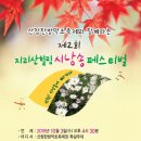 힐링 시낭송 이미지