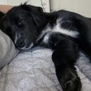 콩이네민박 이미지