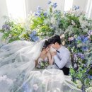 롤롤스튜디오