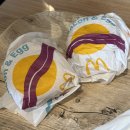 (온라인)오카리나 | 베네치아 본섬 방문 시 주의사항 및 숙소 위치 장단점, ACTV교통권 정보, 맛집 추천