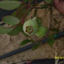 도천농장 이미지