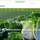 평창군절임배추사업단