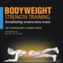 웨이트 트레이닝 이미지