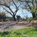 진건어물 이미지