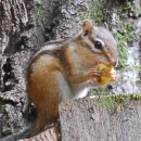 도봉-도봉-2008 이미지