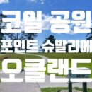 데일리브레드 이미지