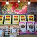 고흥 만남의 광장 이미지